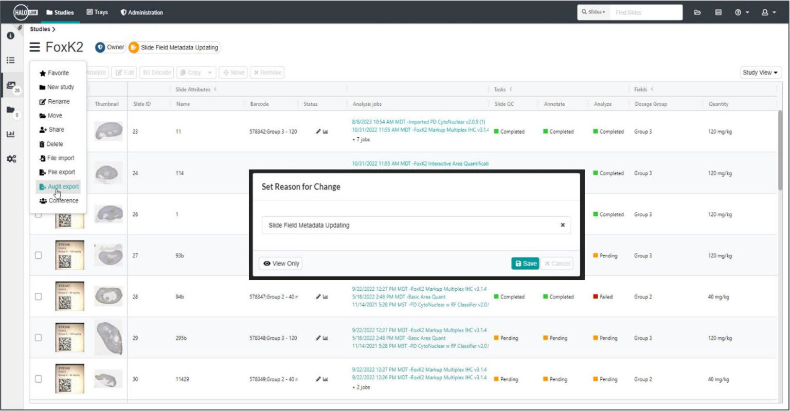 Work project Halo Link